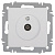 Розетка телевизионная одиночная TV СП Accent 6-301-01 IP20 бел. Intro Б0063601