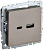BRITE Розетка USB A+C 18Вт РЮ11-1-БрШ шампань | BR-U22-018-K37 | IEK